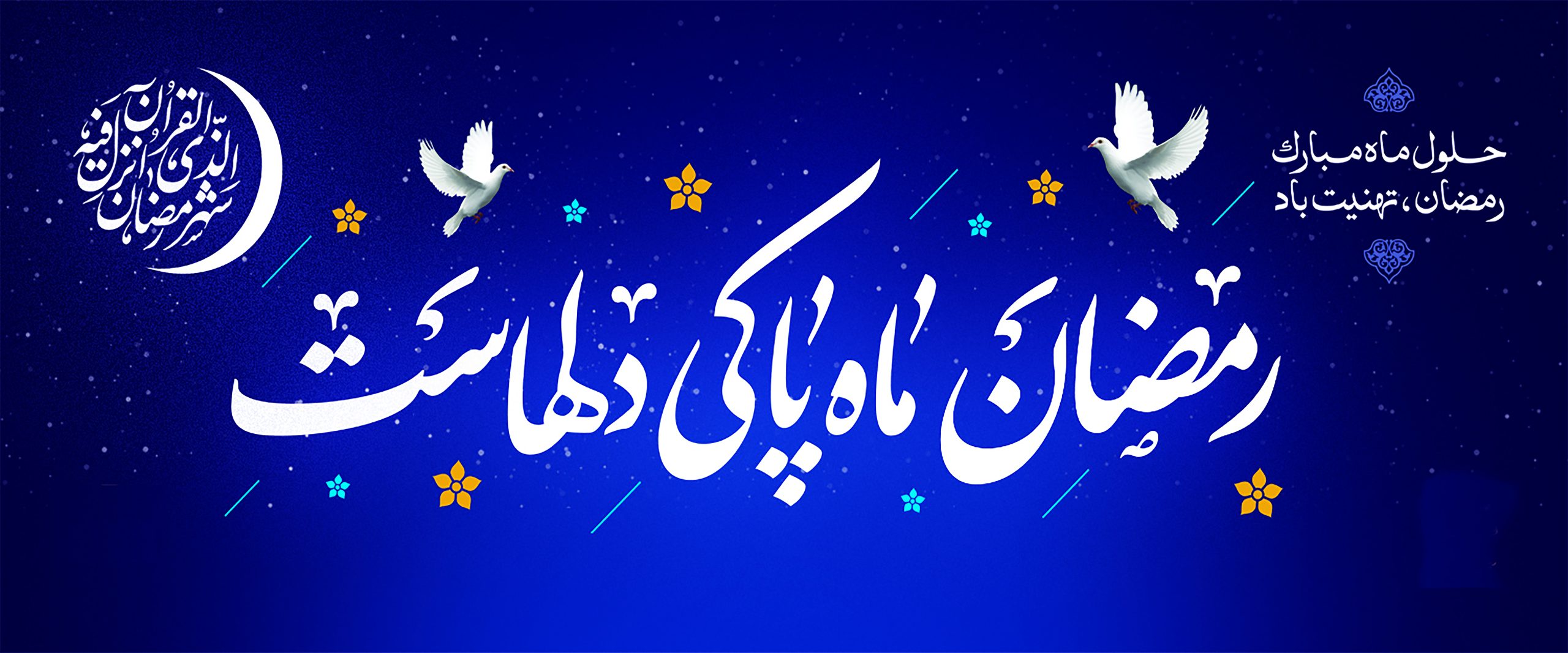 ContentImages_263288 copy